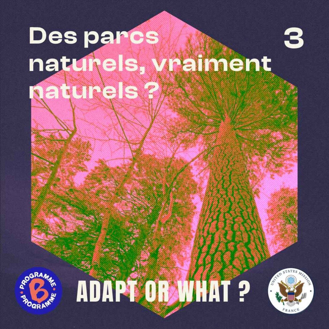 Des parcs naturels, vraiment naturels ? | 3/6 Adapt or what ?