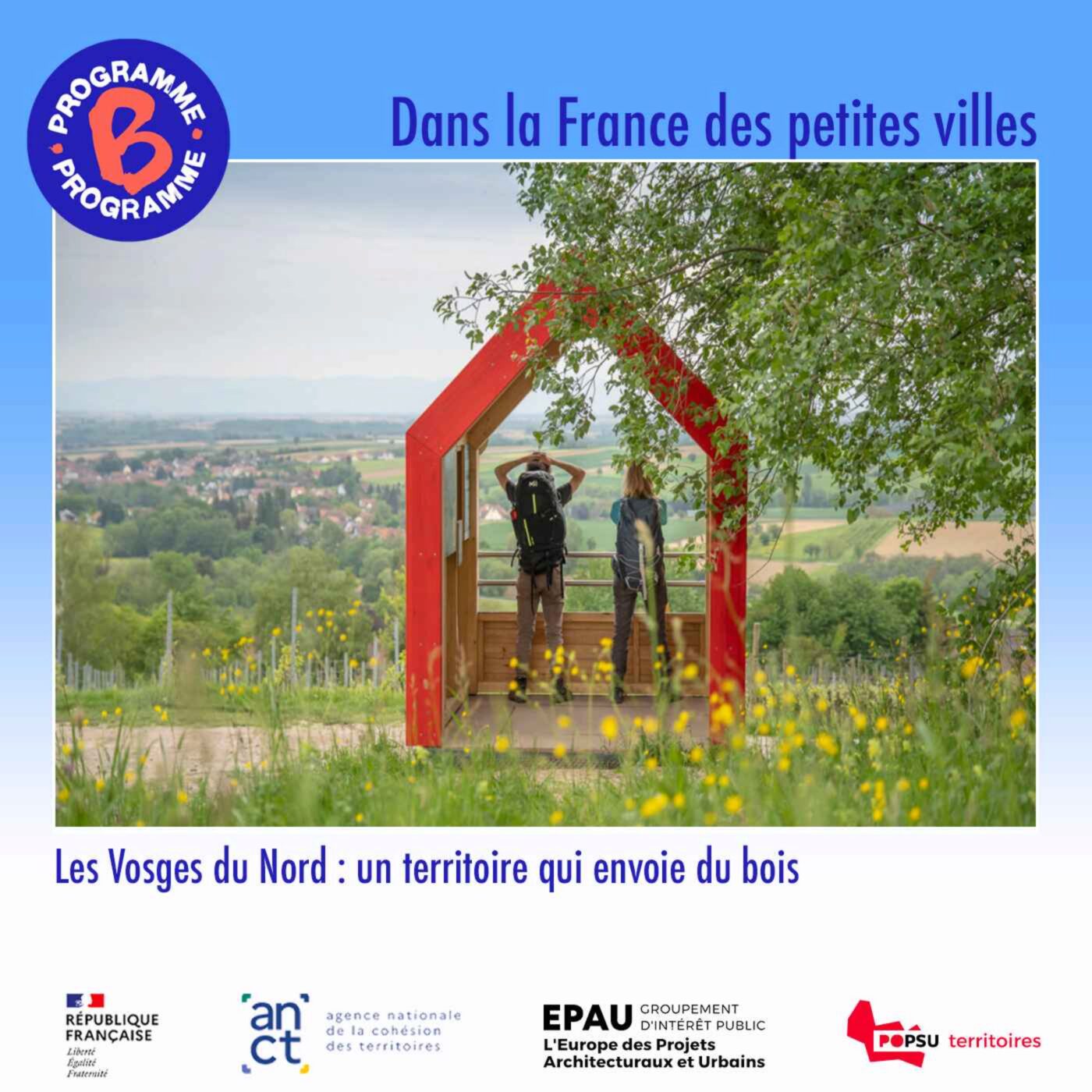 Les Vosges du Nord - Un territoire qui envoie du bois (3/5)