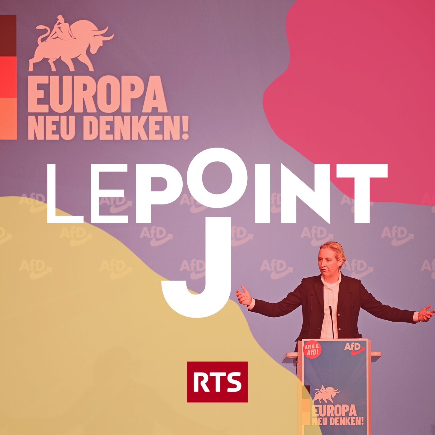 Allemagne: pourquoi l'AfD a-t-elle tant de succès ?