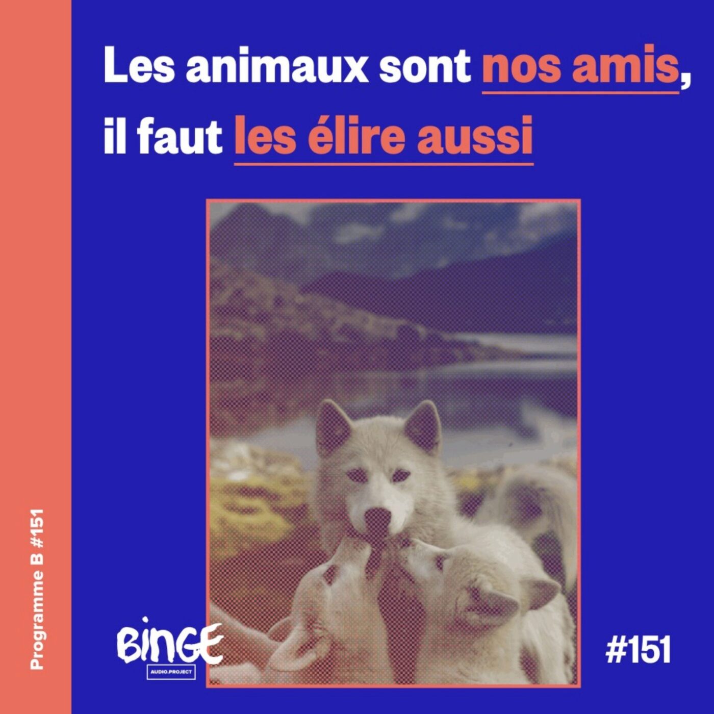Les animaux sont nos amis, il faut les élire aussi