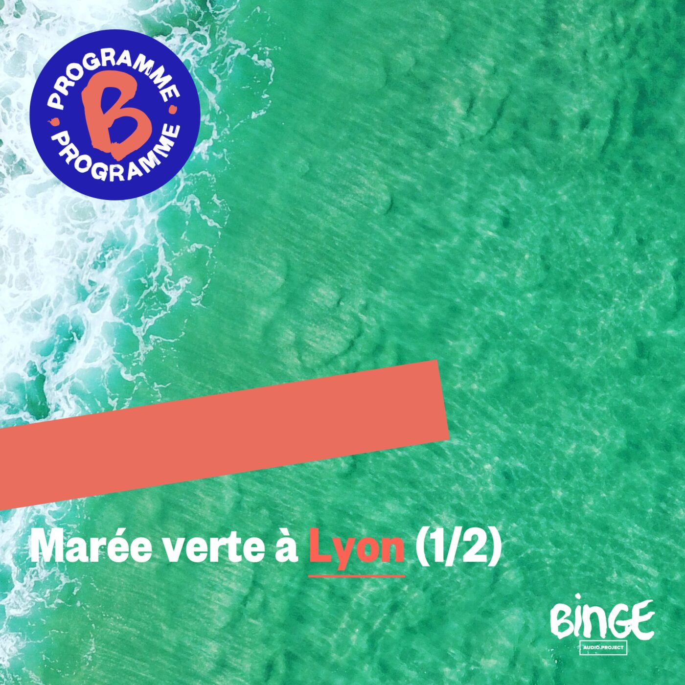 MarÃ©e verte Ã  Lyon (1/2)