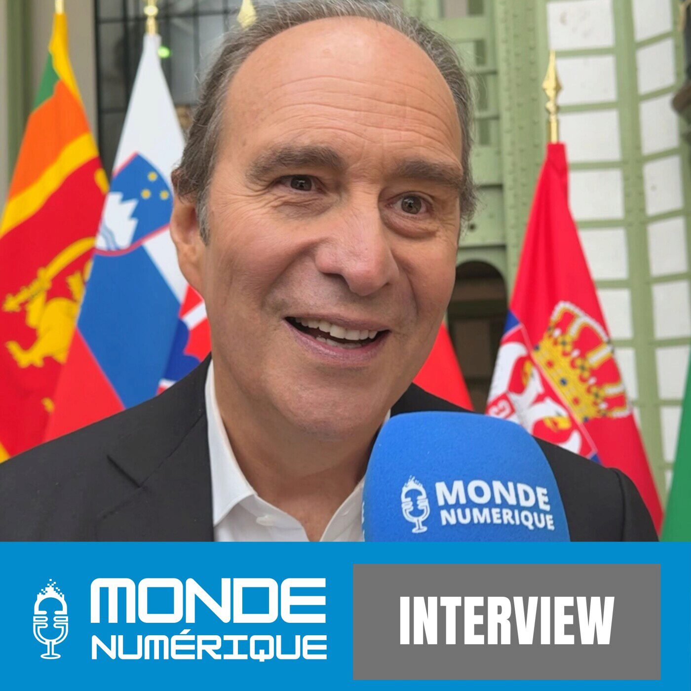 🎤 "Nous sommes très très bons en IA" (Xavier Niel, Iliad)
