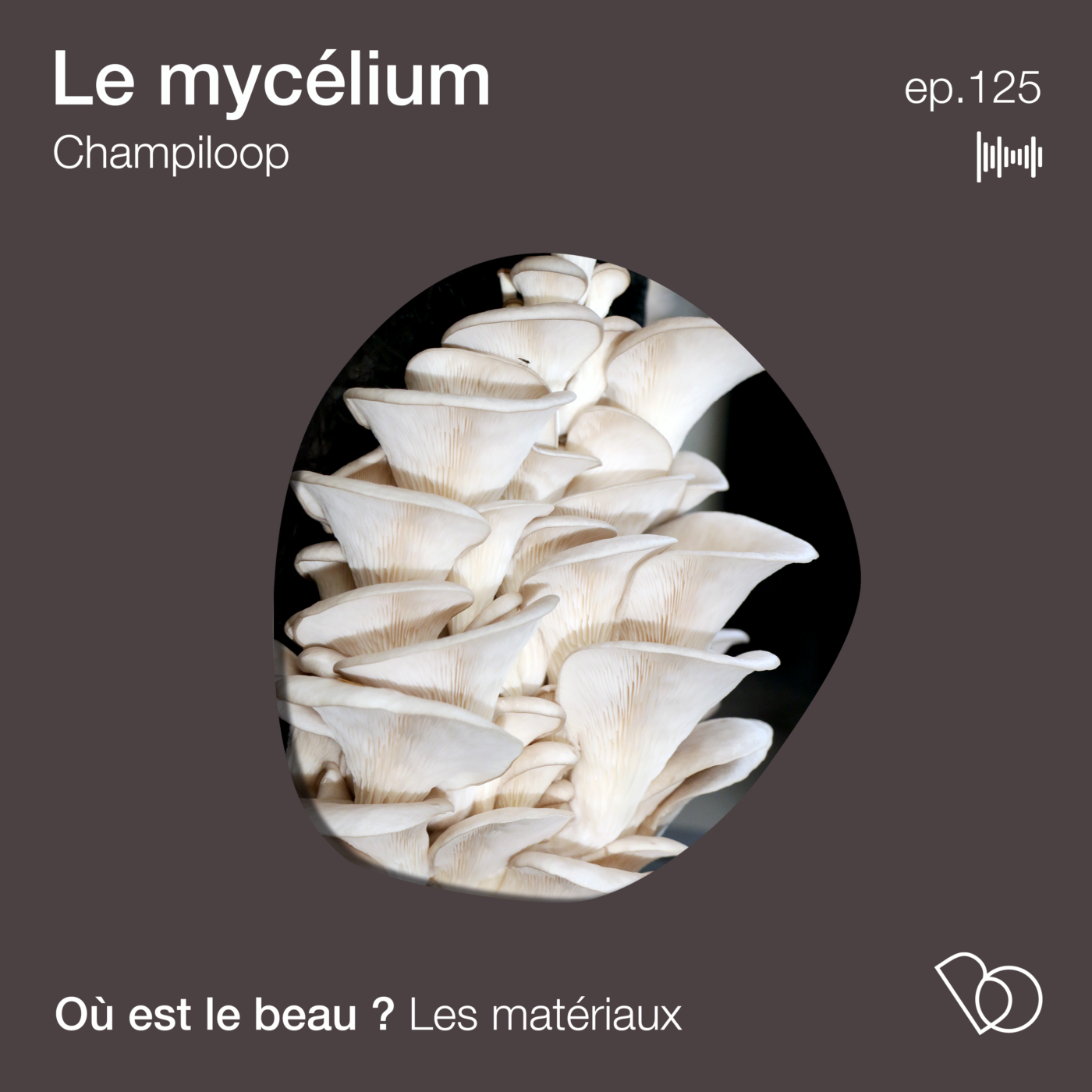 #125 - Des objets en mycélium ?