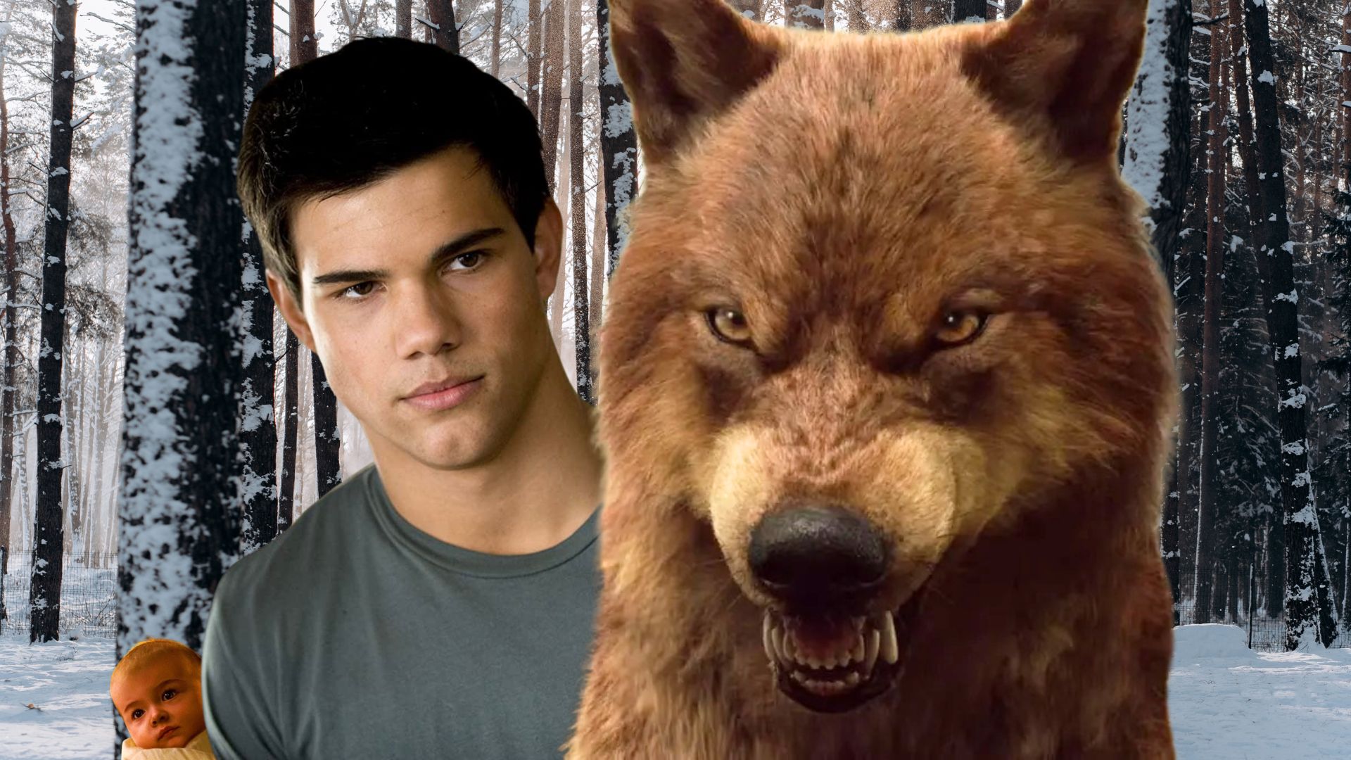 Twilight est de retour… dans une série WTF avec Taylor Lautner et des loups-garous (ou presque)