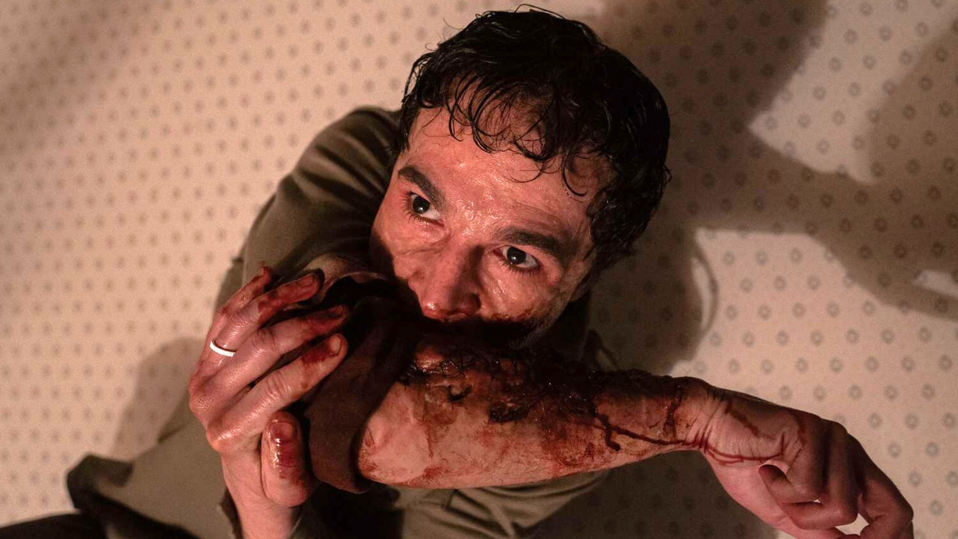 Wolf Man : énorme bide confirmé pour le film de loup-garou du réalisateur d’Invisible Man