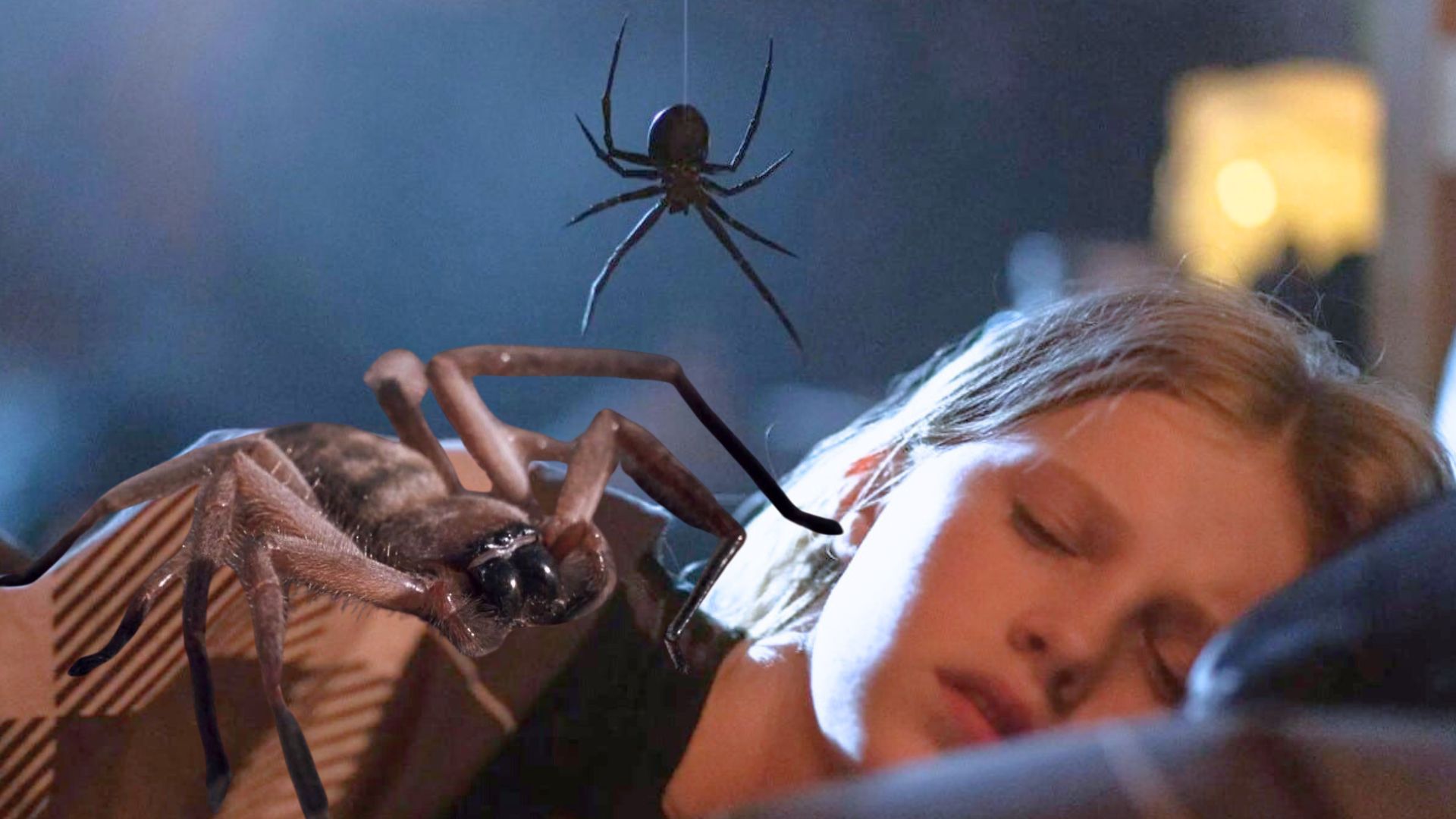 Arachnophobie : mauvaise nouvelle pour le remake du film culte produit par James Wan