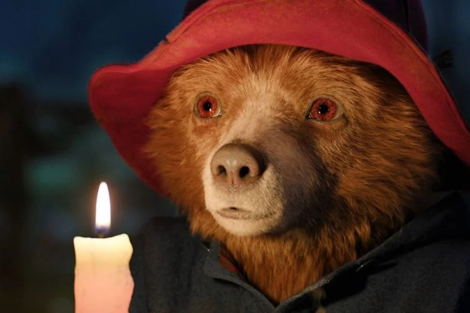 Paddington : pourquoi l’ours rend-il tout le monde complètement fou ?