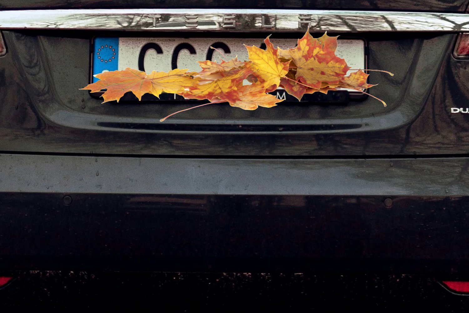 Pourquoi certains cachent-ils leur plaque d’immatriculation quand ils se garent ?