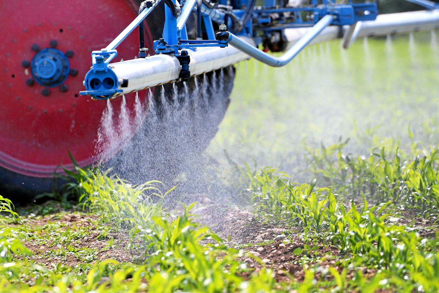 Glyphosate : la Commission européenne renouvelle l???autorisation de l???herbicide