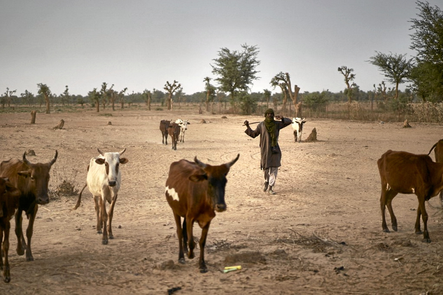 Afrique de l???Ouest : pour des lendemains pacifiés et constructifs