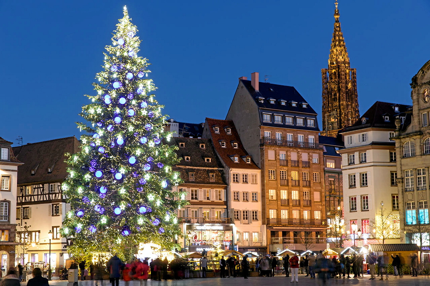 Sapins, crèches, décorations??? Pour quel Noël votent les Français ?