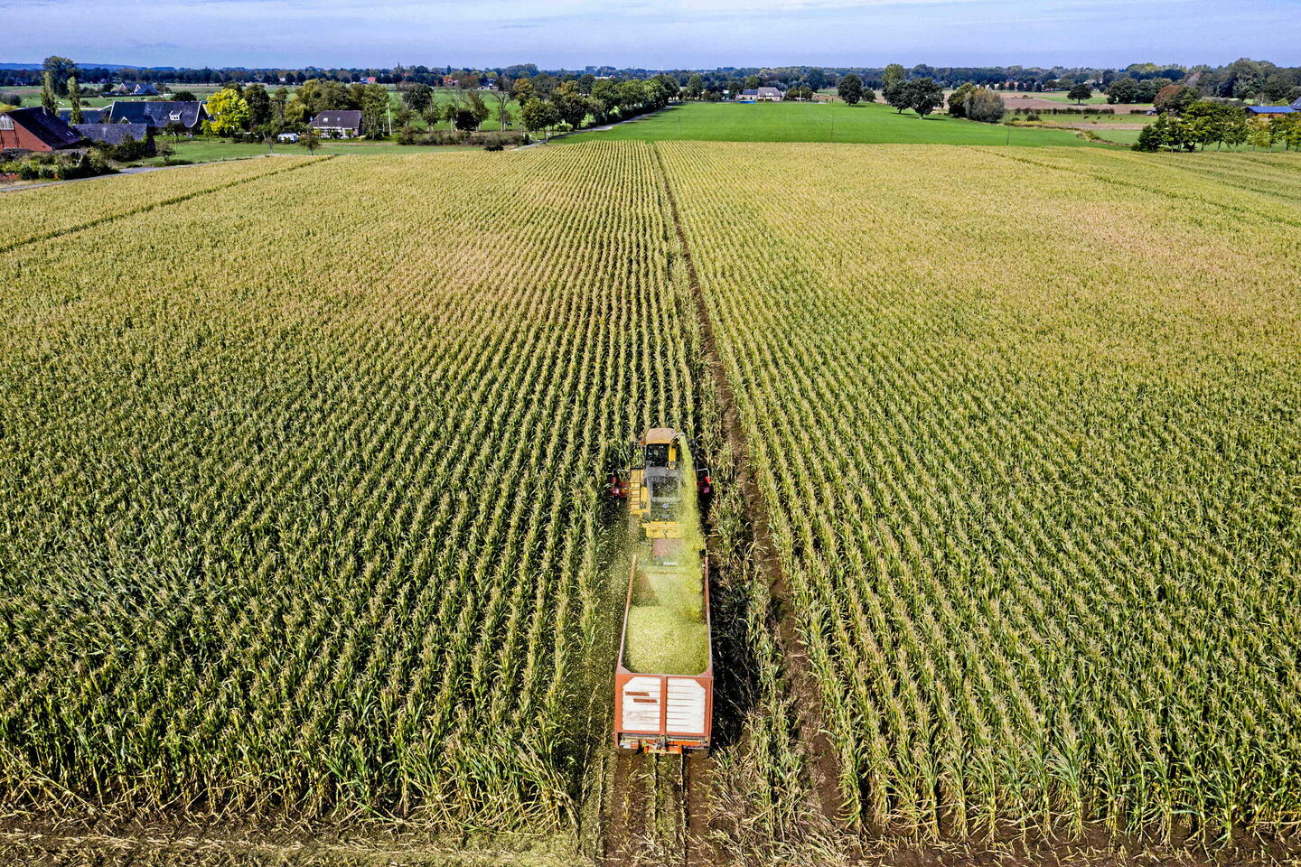 Agriculture : l???Allemagne, une puissance en trompe-l?????il