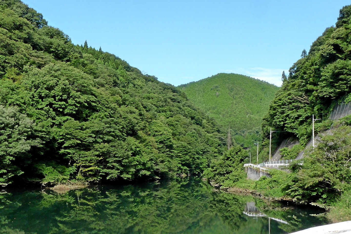 « L???affaire Hibagon » : et si le yéti japonais n???était pas une légende ?