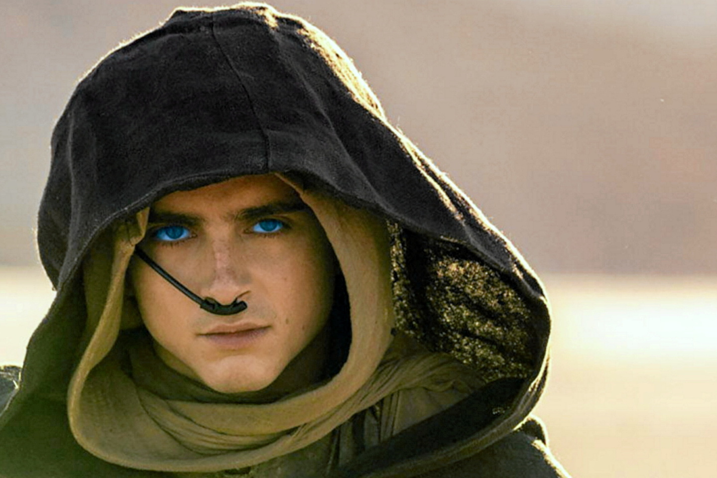 « Dune », « Eureka », « Il n???y a pas d???ombre dans le désert », « Black Tea »...