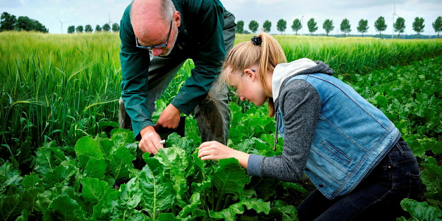 Wageningen, l???université qui écrit l???avenir de l???agriculture