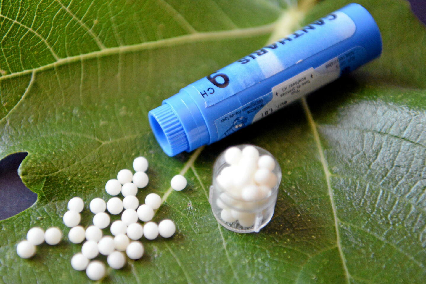 Médecines parallèles : celles qui marchent, celles qui ne marchent pas