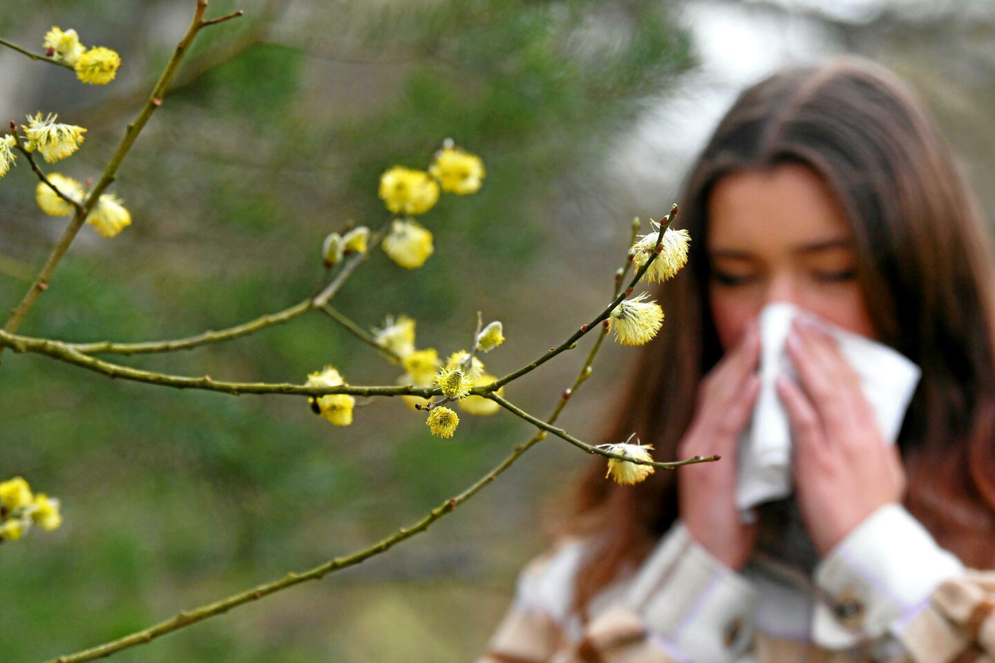Ce qu???il faut savoir sur l???allergie aux pollens