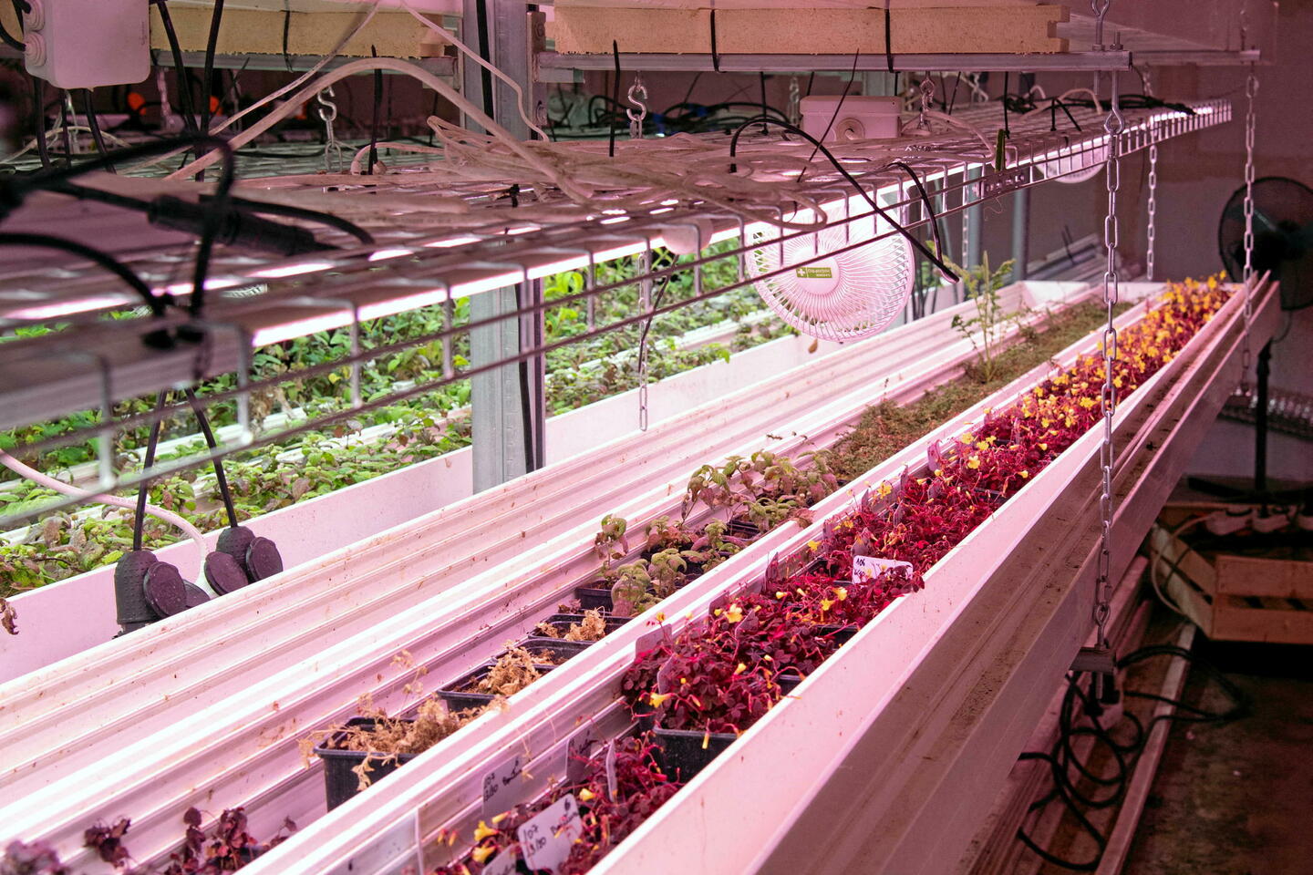 Déployer des fermes verticales en ville, quelle bonne idée !