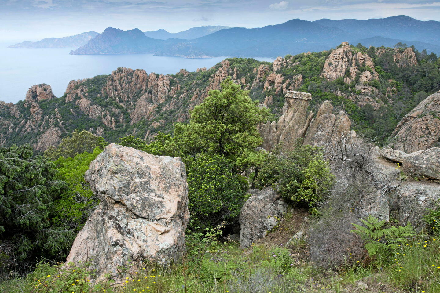 Tourisme : les 10 sites incontournables pour des vacances nature en Corse