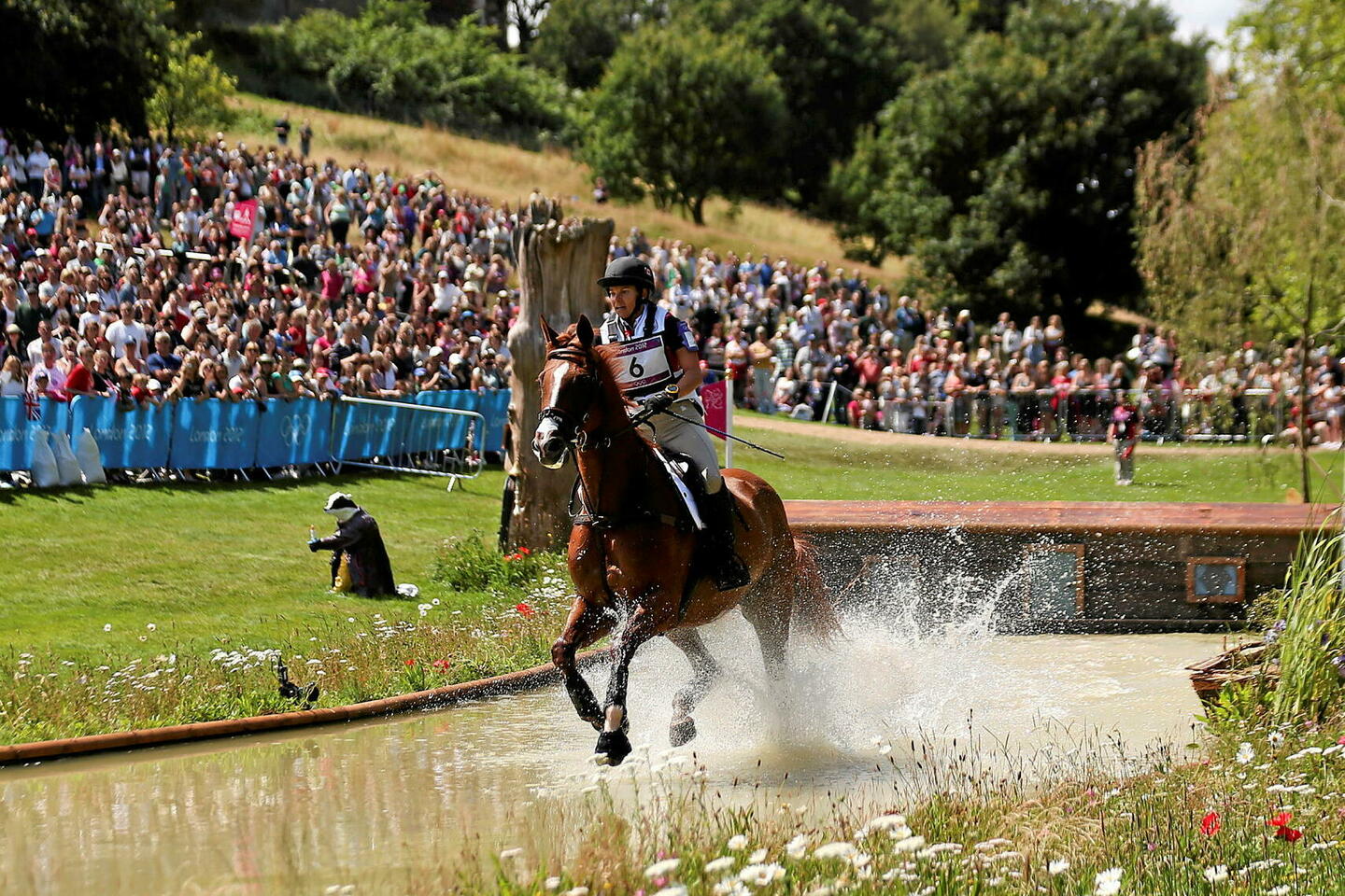 Sports équestres : quand le cheval meurt