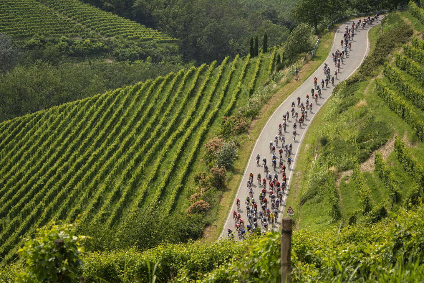 Tour de France : qu???est-ce que le gruppetto, cette technique pour finir l???étape à temps ?