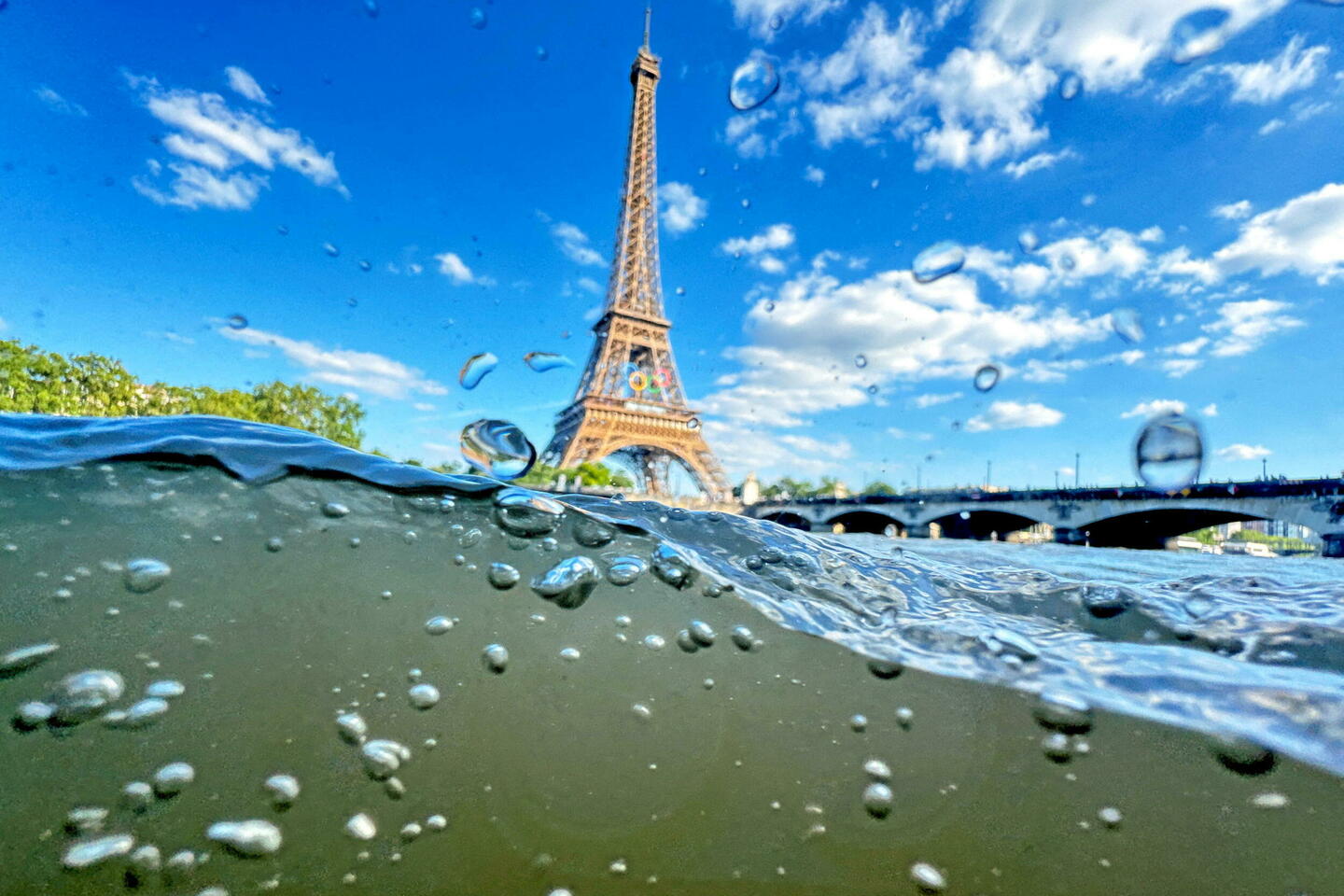 Se baigner dans la Seine : fausses polémiques, vrai succès !