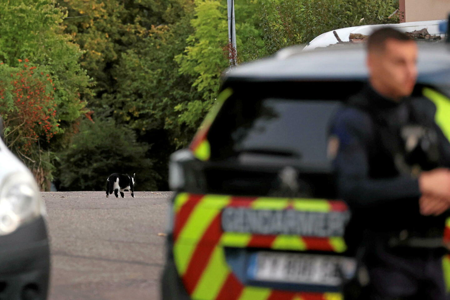 Disparition de Lina : le profil génétique de la jeune fille retrouvé dans une voiture