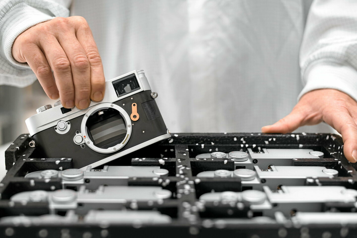 Leica, l?????il de lynx de la photographie