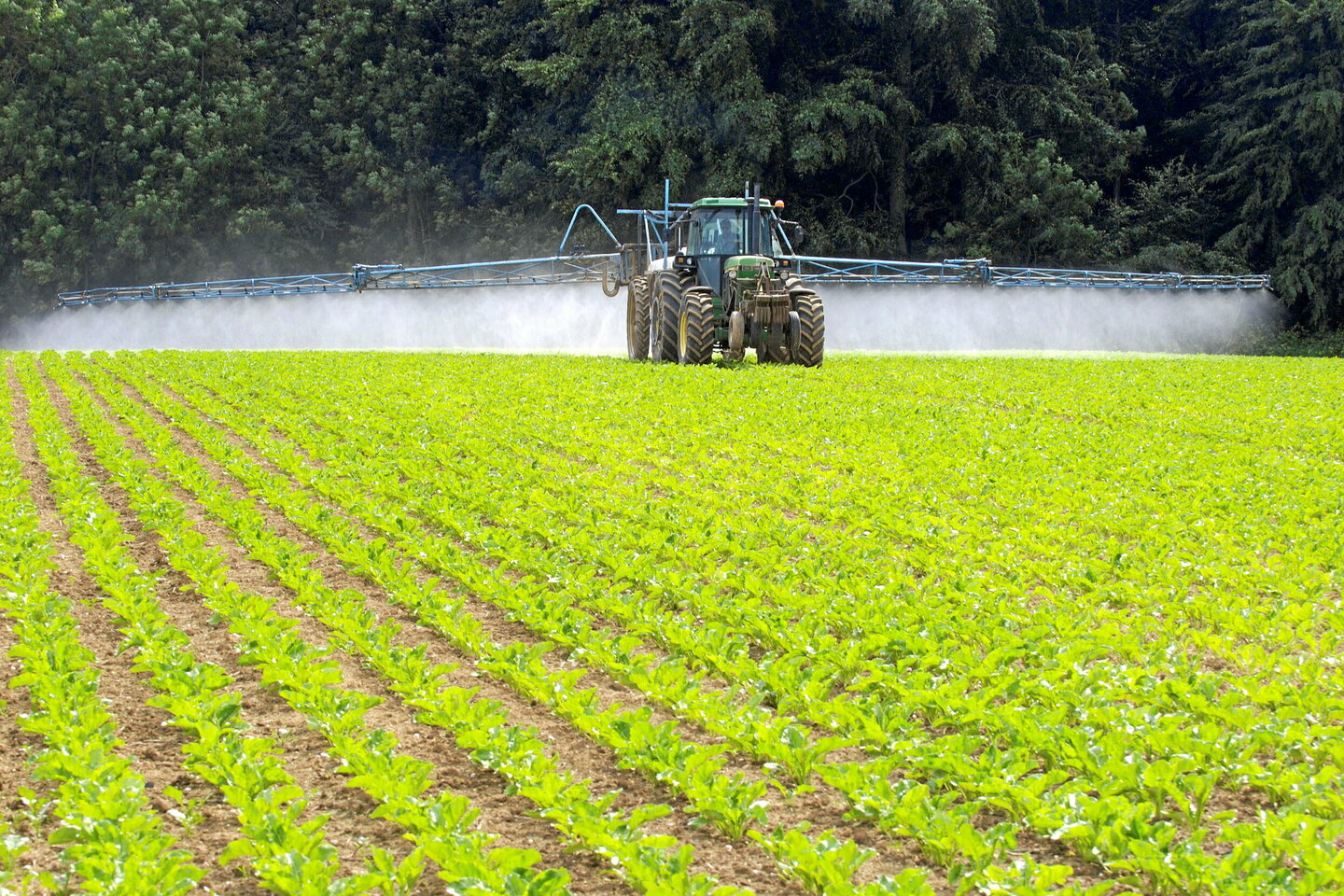 La majeure partie du glyphosate dans les rivières d???Europe ne viendrait pas de l???agriculture
