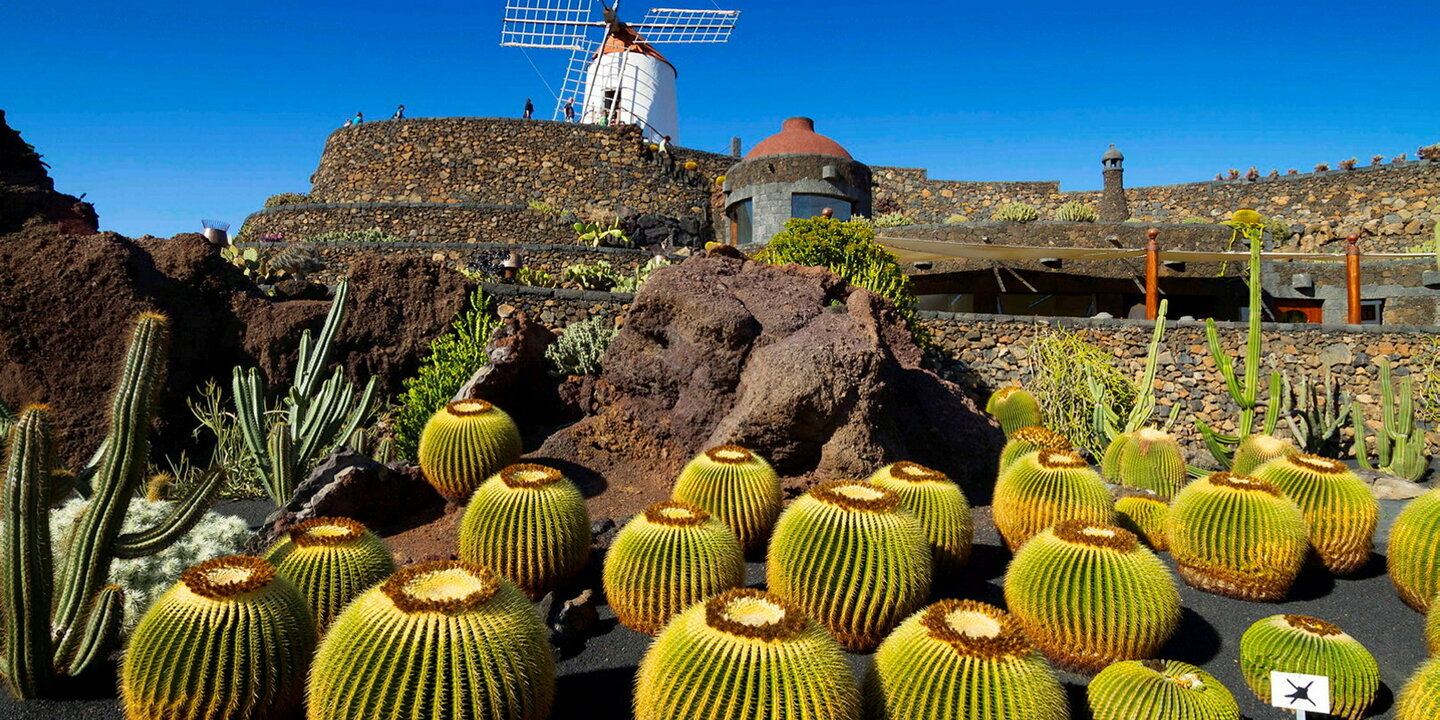 Plongée dans l?????uvre de Manrique, le magicien de Lanzarote