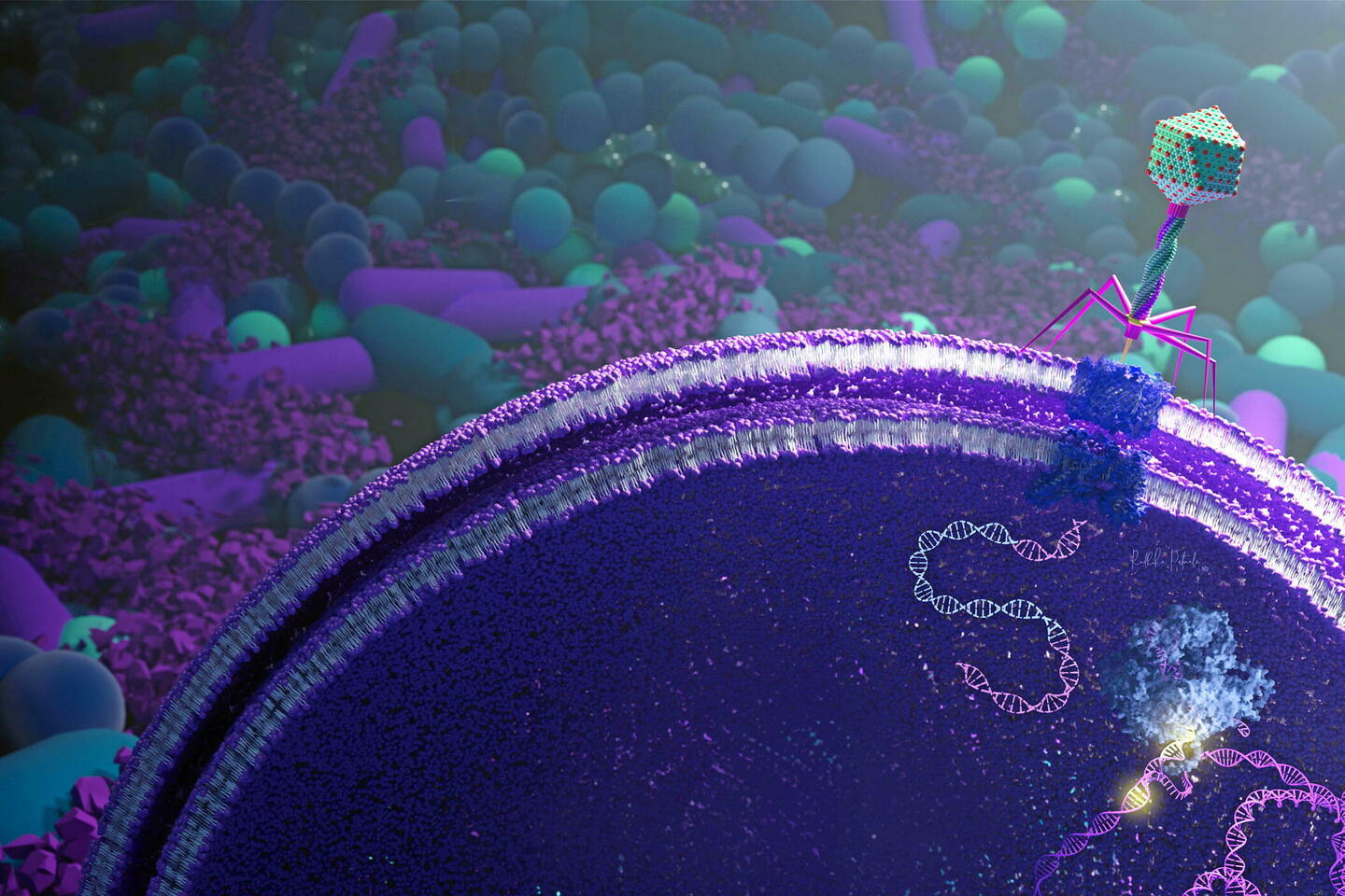 Microbiote génétiquement modifié : une nouvelle révolution thérapeutique ?