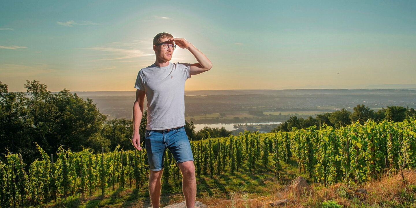 Spécial vins - Côtes-du-Rhône : les héroïques de saint-joseph