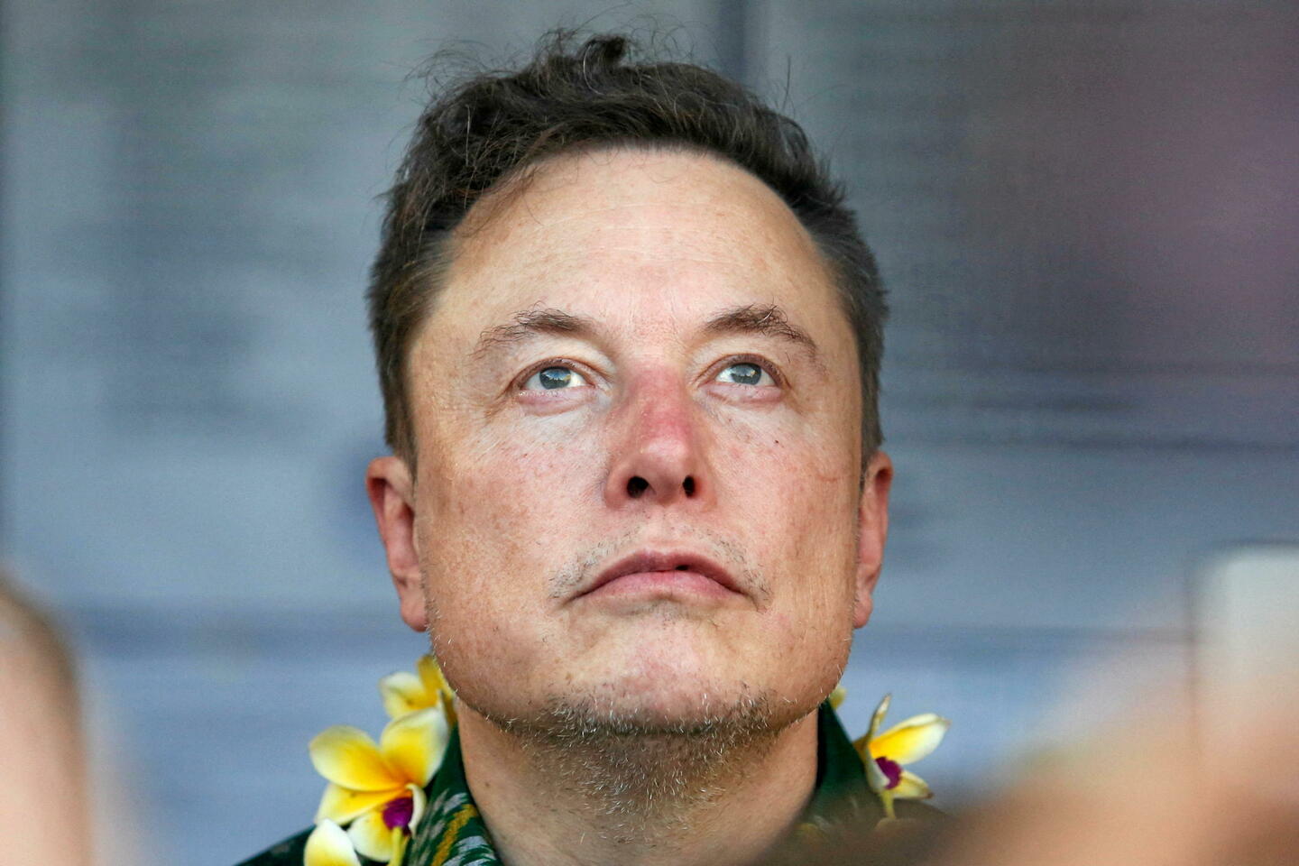 L???invraisemblable bataille judiciaire entre Elon Musk et un jeu de cartes