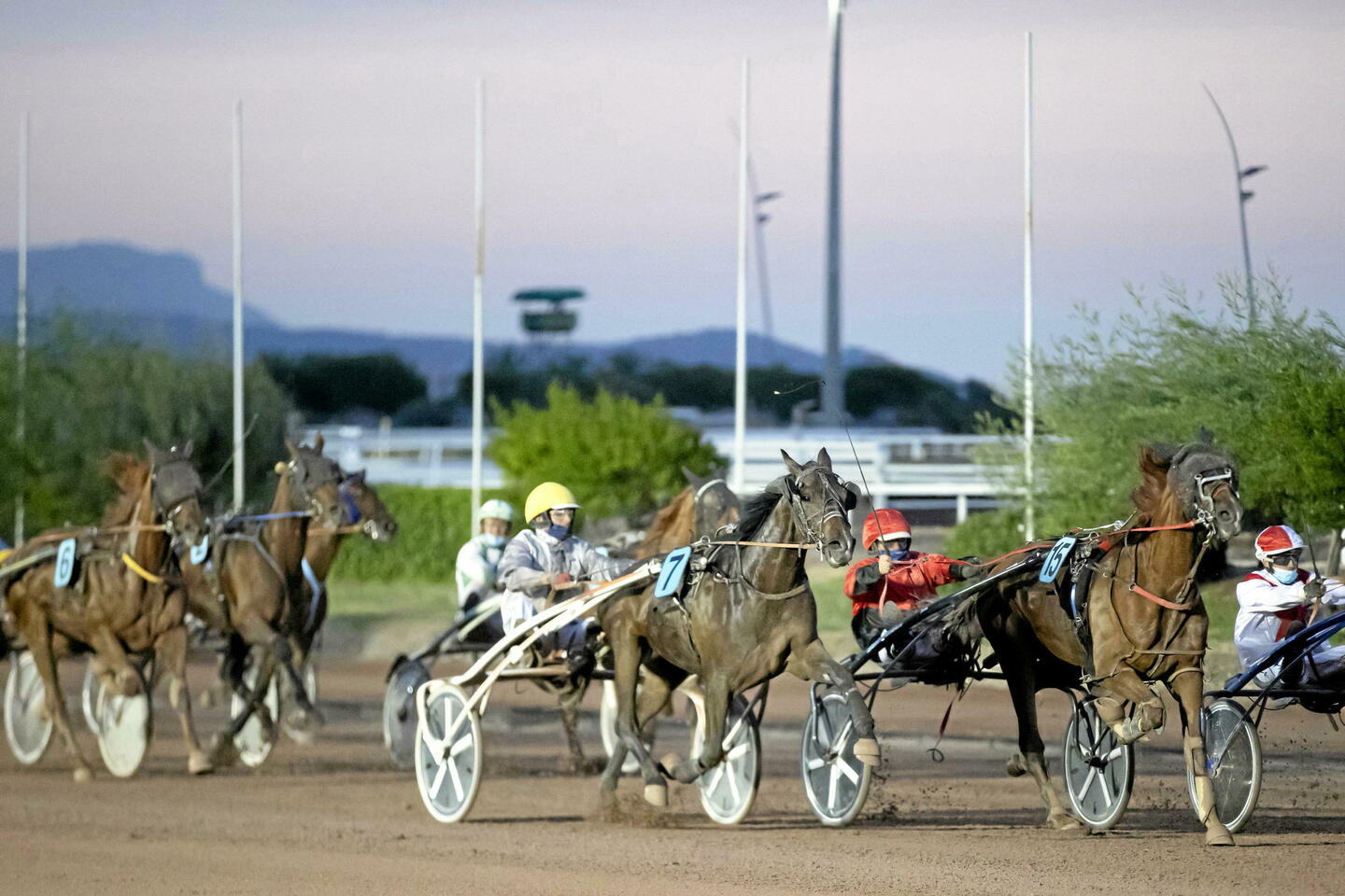 En Corse, l’incroyable jackpot des enjeux hippiques