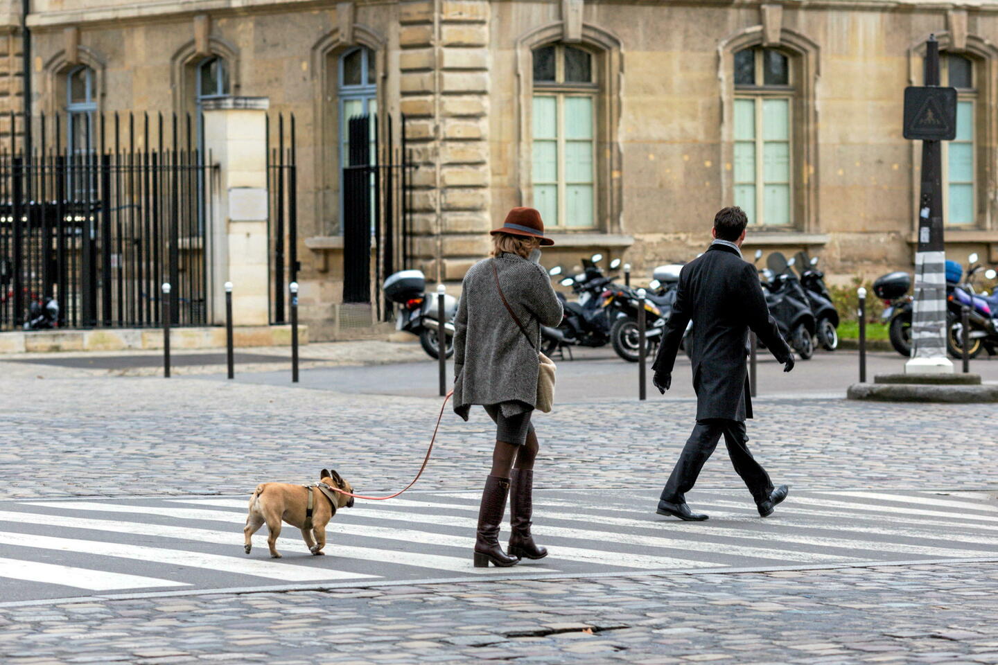 « C’était une évidence » : séparés, ils optent pour la garde alternée de leur animal