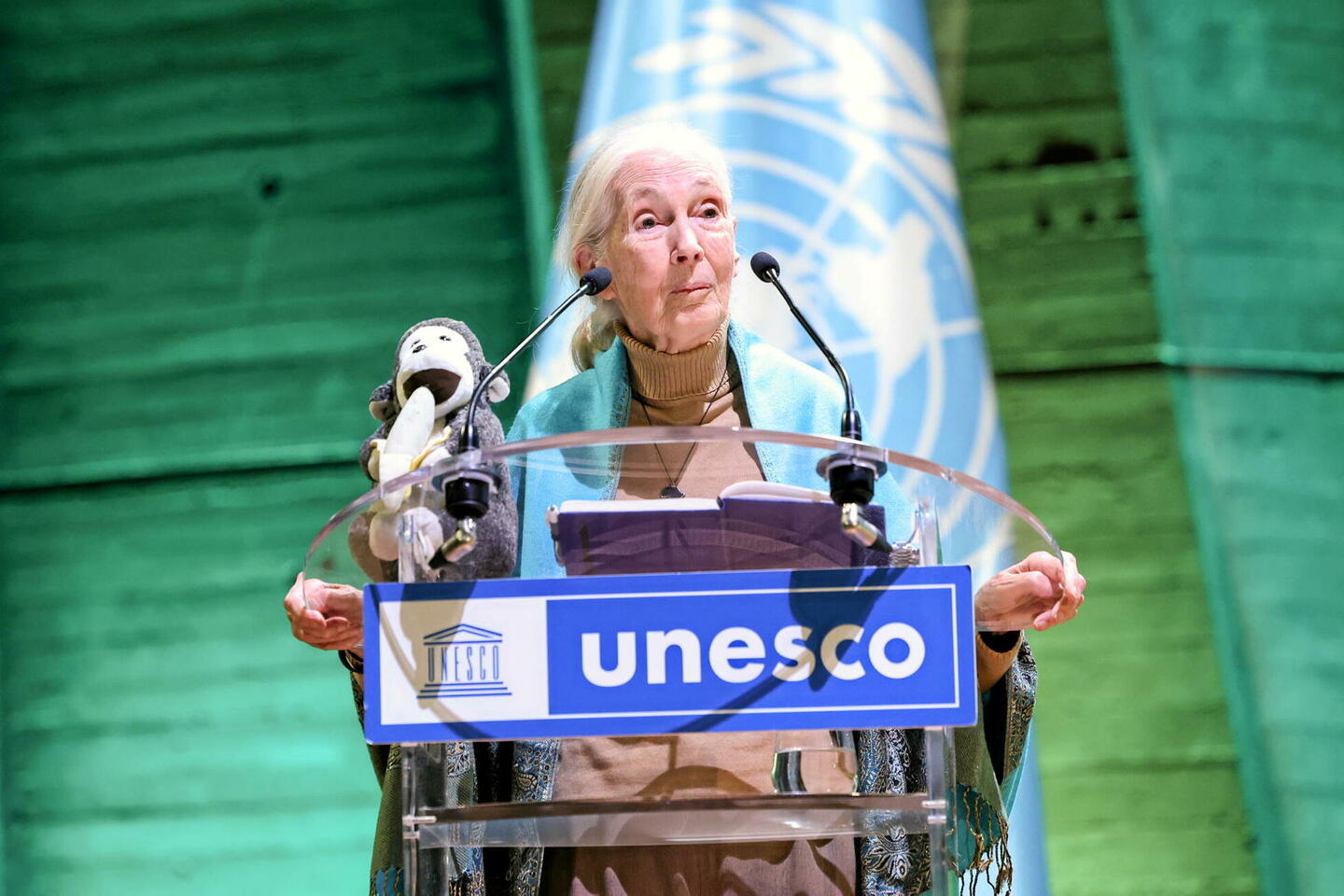 Jane Goodall : « Les chimpanzés m’ont appris à quel point les humains ont été stupidement...