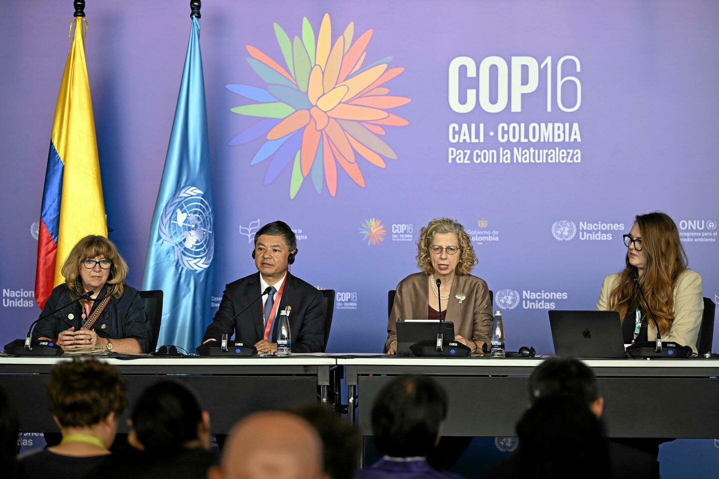 COP16 biodiversité : les négociations se soldent par un échec