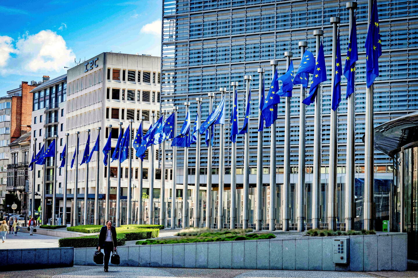 Déforestation : un scrutin contesté au Parlement européen