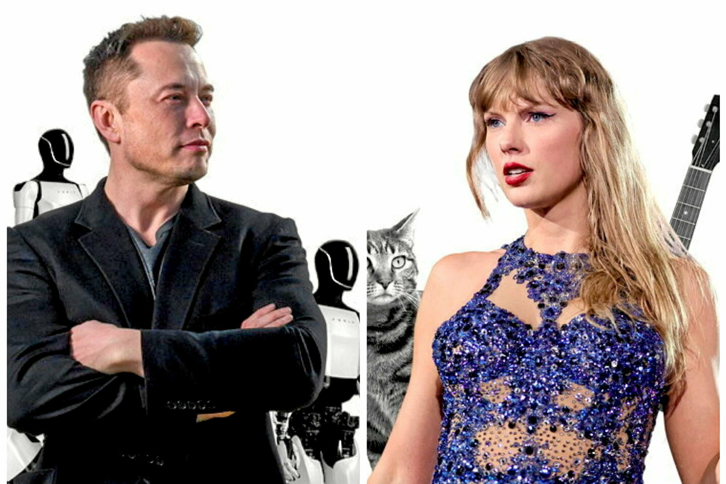 Les « muskies » et les « swifties », cette Amérique qui ne se parle plus