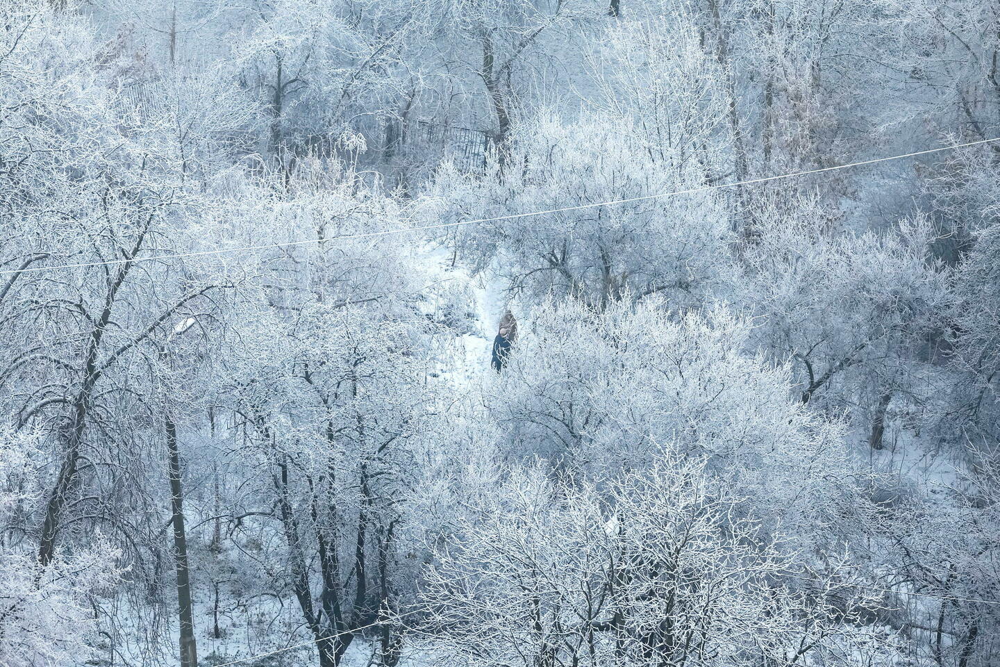 Neige, vent froid… L’hiver va vraiment commencer ce week-end