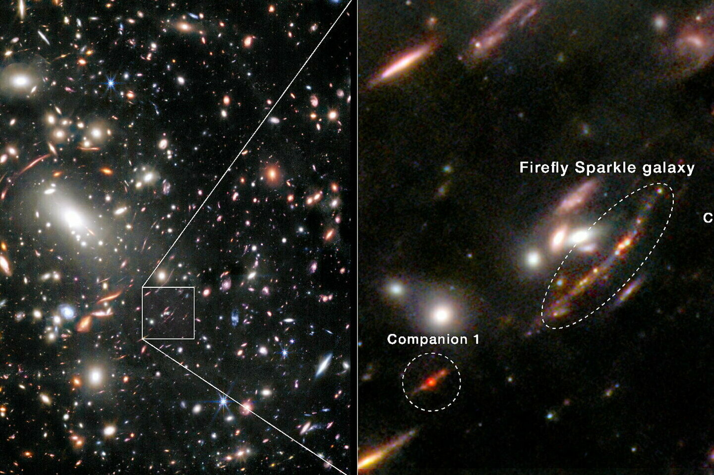 Une étincelante « luciole » cosmique dévoile les secrets des premières galaxies de...