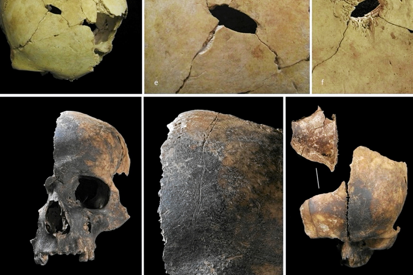 Une tribu cannibale préhistorique identifiée en Angleterre