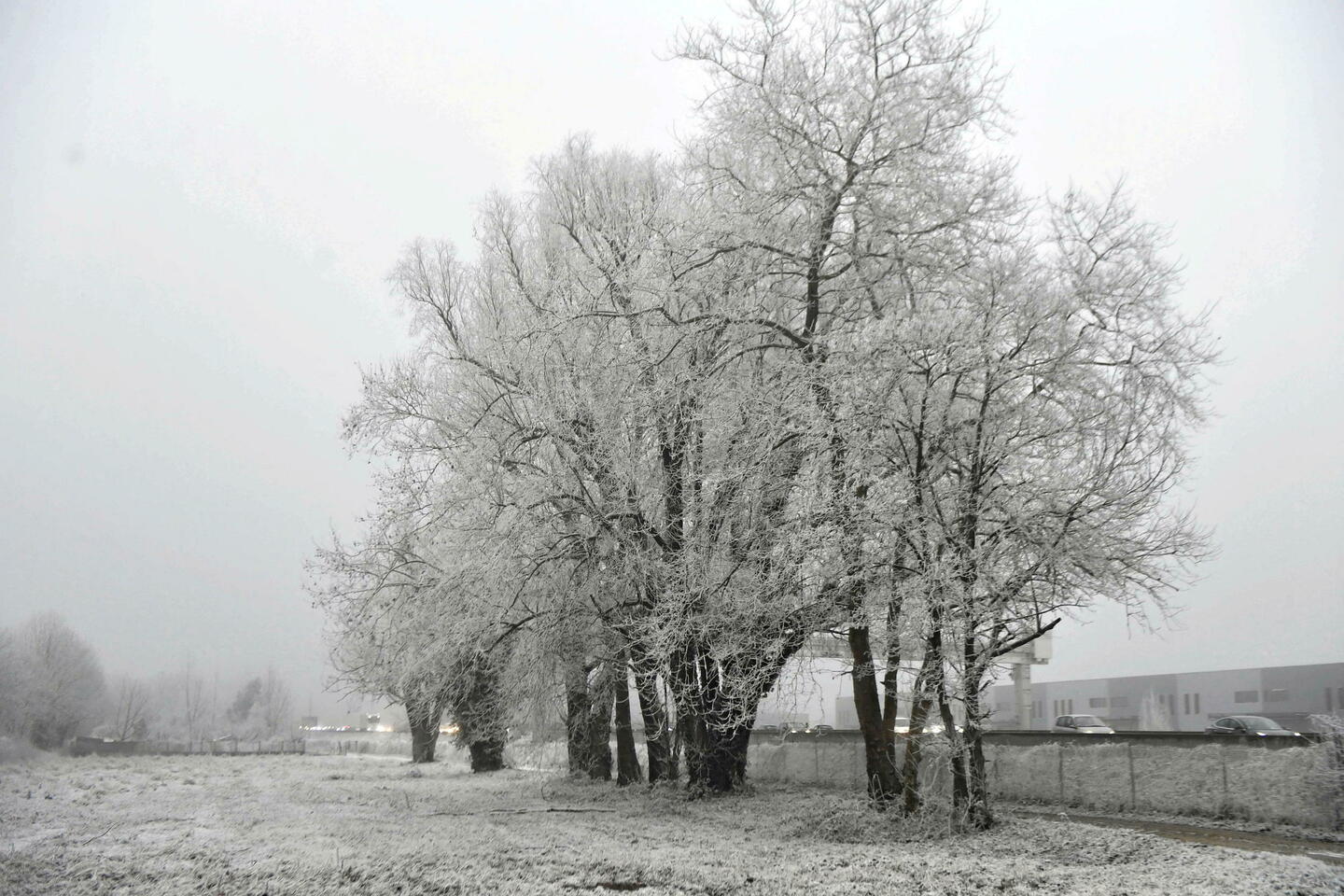 Qu’est-ce que la « neige industrielle », phénomène observé en région parisienne ?