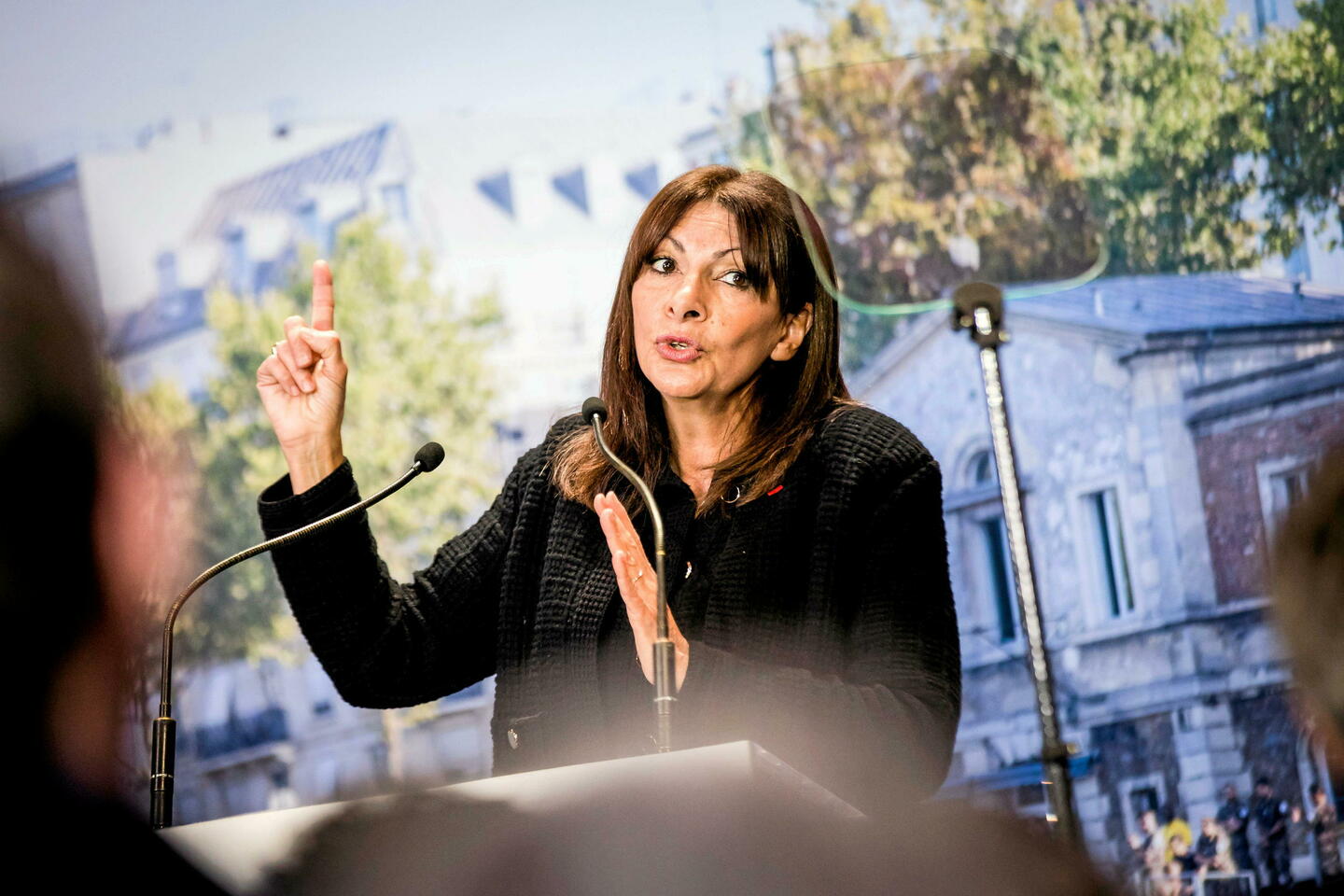 Après les trottinettes et les SUV, Anne Hidalgo veut un vote sur… les rues-jardins