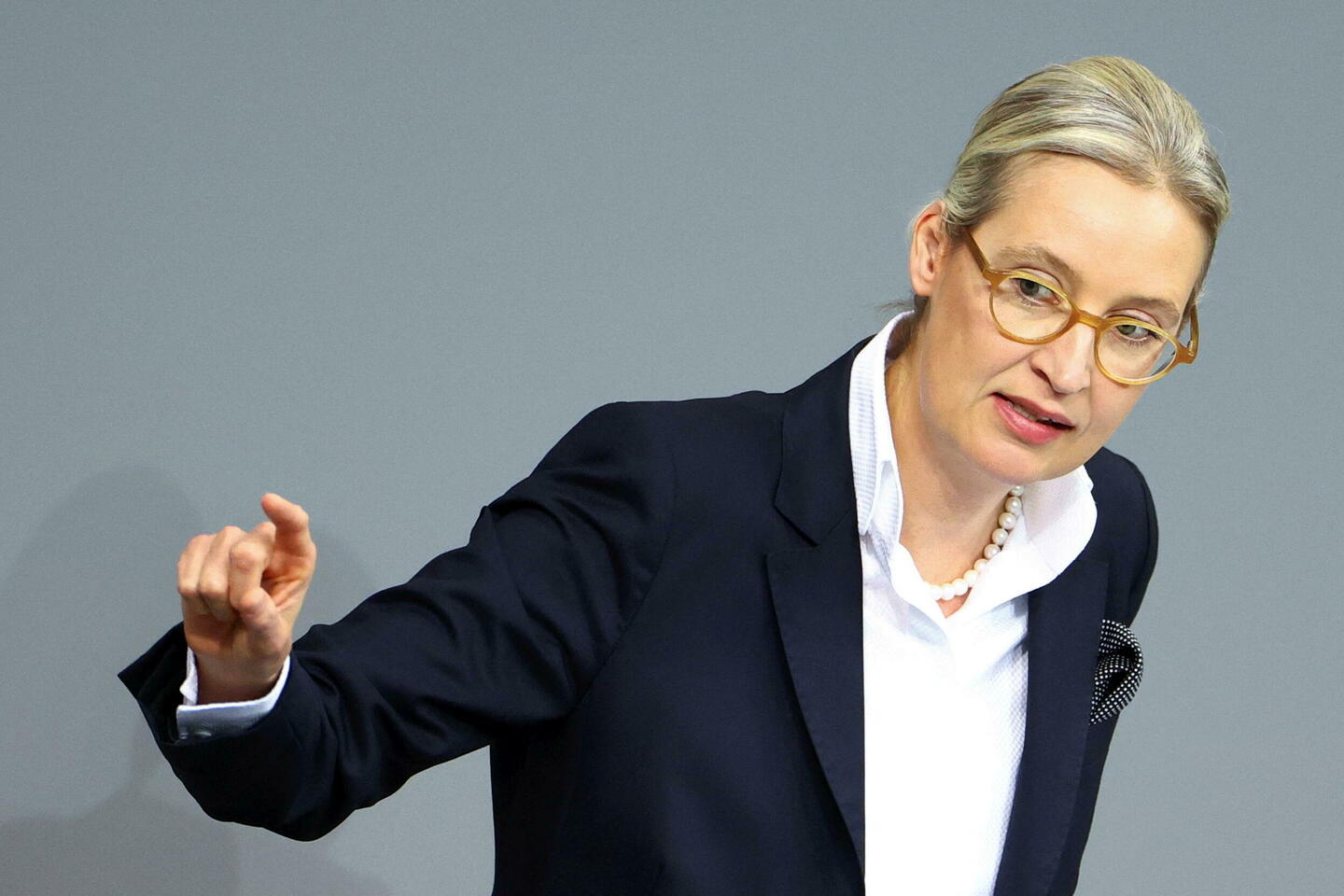 Faut-il interdire le parti d’extrême droite allemand AfD ?