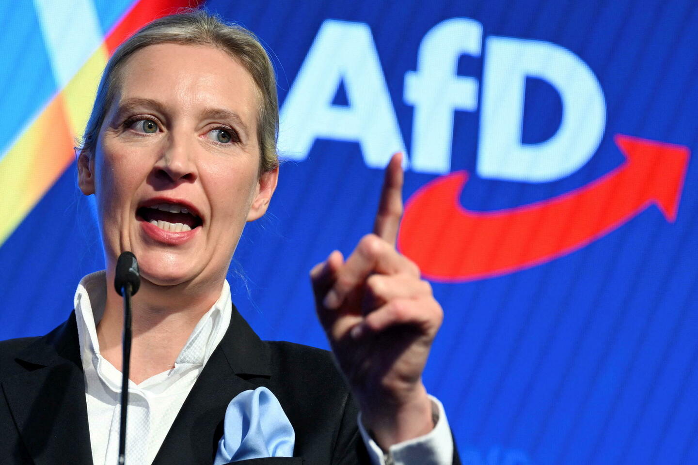 Allemagne : l’AfD, une ascension comparable à celle du parti nazi ?