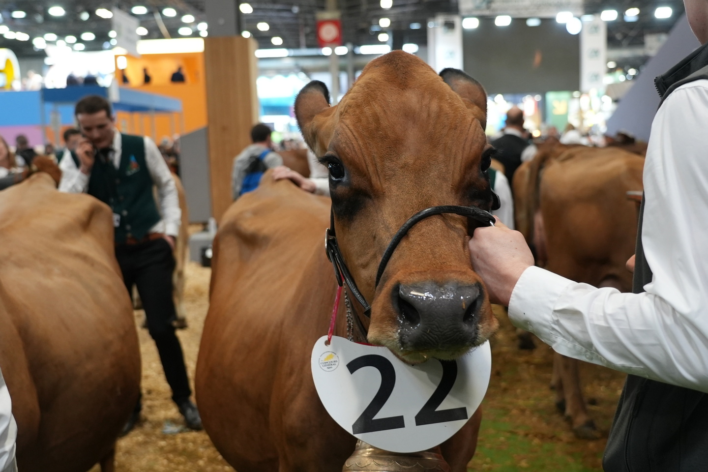 « Elle a fait la vache folle ! » : comment Pieuvre a raté son concours de beauté au Salon...