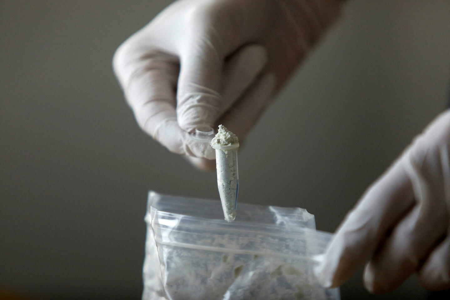 Des cartels aux campus, l’ombre du fentanyl plane sur l’Amérique