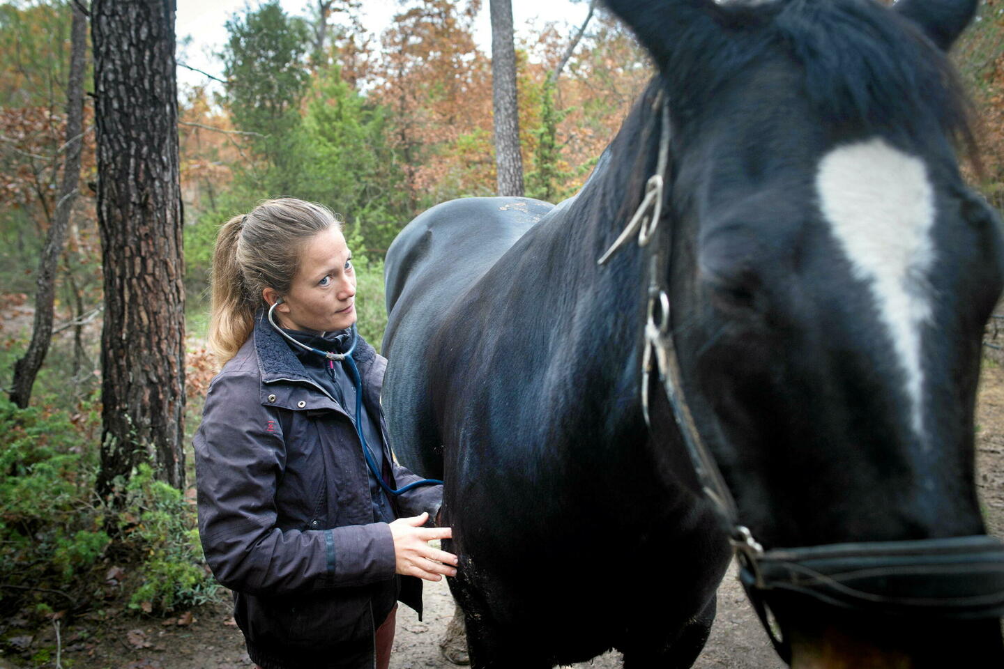 Dans l’enfer de la maltraitance animale : ces vétérinaires hantés par des scènes...
