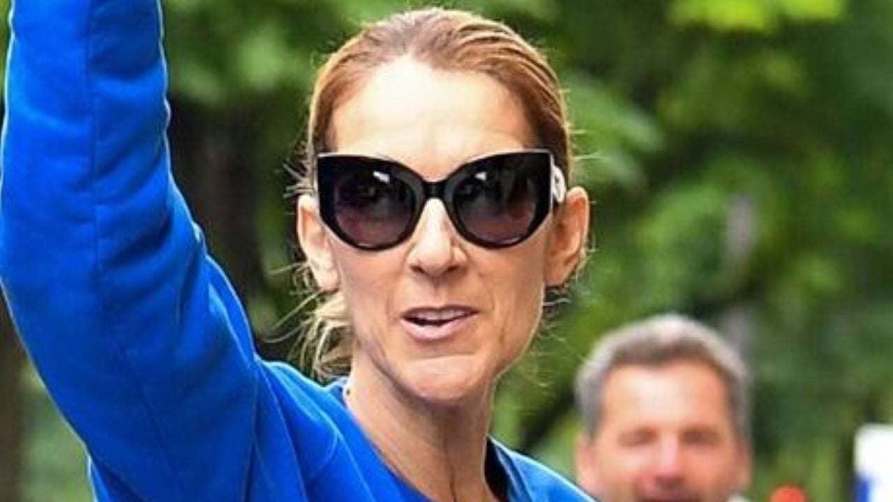Céline Dion : topless sous une chemise et collants transparents, la star internationale charme ses...